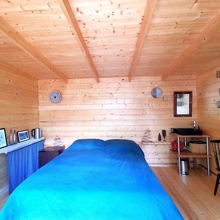 Cabanon Dans Un Ecrin De Verdure กัลลิออง ภายนอก รูปภาพ