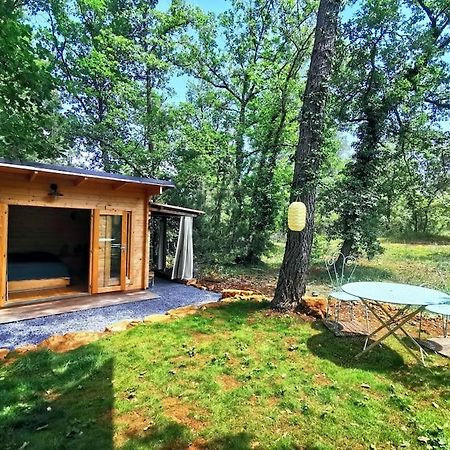 Cabanon Dans Un Ecrin De Verdure กัลลิออง ภายนอก รูปภาพ